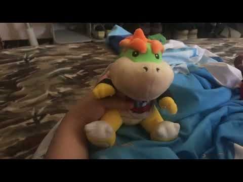 Bowser Jr Koopa