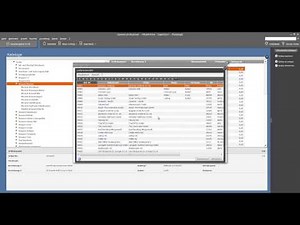 Tutorial Datanorm Kataloge importieren in der Lexware Warenwirtschaft 2013