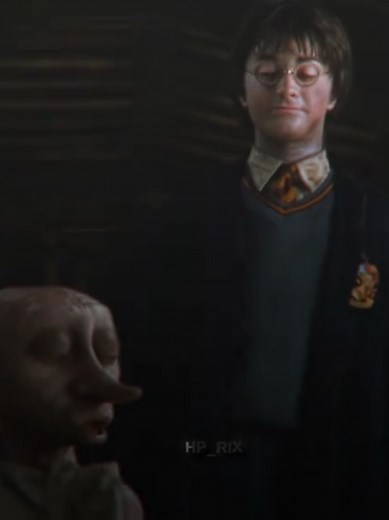 Heartwarming Dobby Moments in Harry Potter Edits