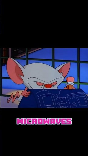 Brain teachs Pinky