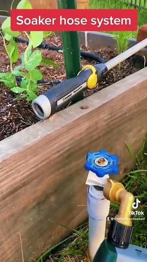 My soaker hose set up