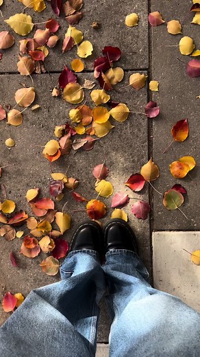 Cozy Fall Aesthetic Vlog | Autumn Vibes 2021