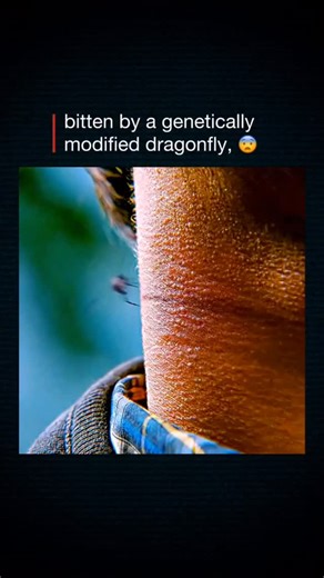 SHORTS-SEEN🚀 on Instagram: "🎬"The Imperfects" on Netflix is a sci-fi series about three young adults (Abbi, Tilda, Juan) who develop monster-like abilities after experimental gene therapy, seeking a cure from the responsible scientist, Dr. Sarkov, while dealing with their uncontrollable powers, identity struggles, and forming bonds as they're hunted by investigators. The show, created by Dennis Heaton and Shelley Eriksen, blends humor and tension in its first season, which premiered in 2022 bu