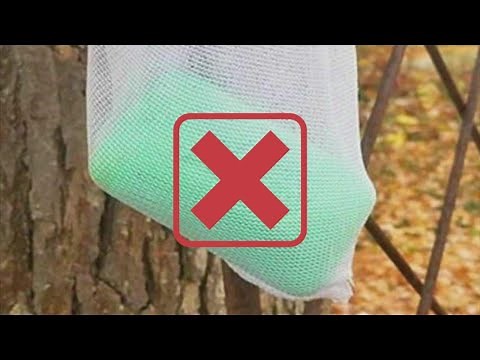 VERIFY: Irish Spring soap will not keep bugs away