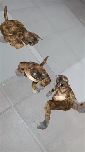 7254546461508095233