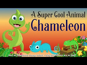 How do Chameleons Change Color? - Why Chameleons are so Cool? - The Amazing Science of Chameleons - Videos For Kids