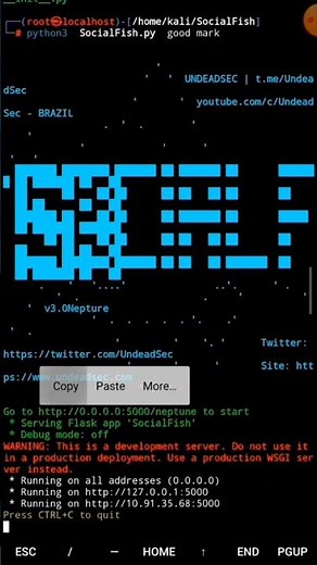 social fish install in Kali Linux #ethicalhacking #cybersecurity #digitalforensics #smma #android