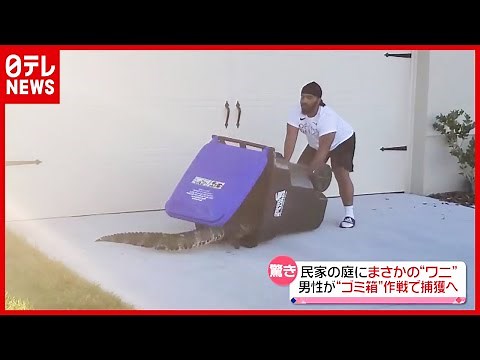 【捕獲】ワニVS男性 ゴミ箱でにじり寄り…