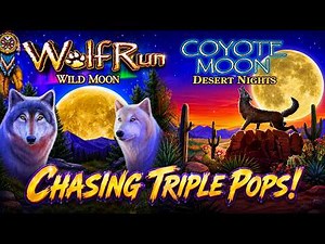 WOLF RUN WILD MOON and COYOTE MOON DESERT NIGHTS - Chasing TRIPLE POPS!