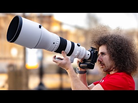 SIGMA 300-600mm f4 REAL WORLD Review: The BEST Wildlife / Sports Zoom Lens Ever?!