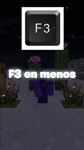 ¡Aprende a usar F3 en menos de 60 segundos! 🔥 #minecraft #minecraftjava #tutorial
