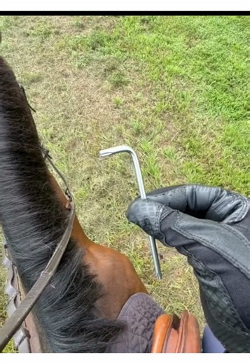 Do you also have a problem with your foot being crooked in the stirrup? RYDE is the solution. And YES - you can adjust your RYDE stirrups while on your horse. Here a step by step video to get your foot fall straight in the stirrup. . Give this video your time!!