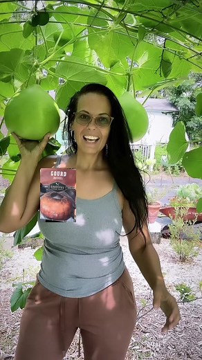 Hey Darlin! Here are 10 fun facts about the bushel gourd: 1. The bushel gourd is a type of plant that belongs to the Cucurbitaceae family, which also includes cucumbers, pumpkins, and watermelons. 2. This gourd is one of the largest in the world, with some specimens growing up to four feet long and weighing over 100 pounds. 3. Bushel gourds have a thick, hard outer shell that can be used to make durable containers, bowls, and utensils. 4. The flesh of the bushel gourd is edible, and is sometimes