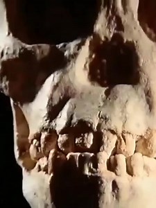 7 Dishonest People Who Surprisingly Fooled the World | CelebsRank01