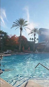 MGM GRAND POOL. #mgmgrand