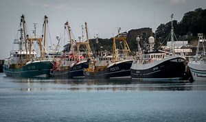Brexit: Cornwall shellfish merchant criticises government