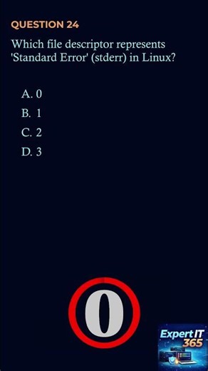 Understanding File Descriptors 🛠️
