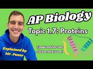 1.7 Proteins - AP Biology (Updated 2025-2026)