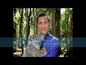The Wiggles - Koala Foundation (2005)