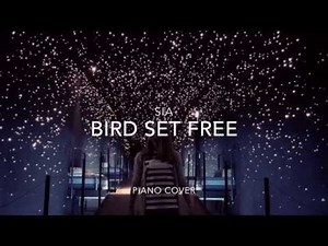 Sia - Bird Set Free (Piano Cover)
