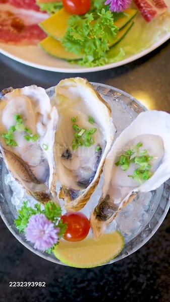 A top-down or high-angle view of a serving of fresh raw oysters on...