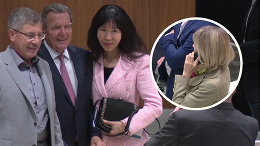 „Ein Abenteuer mit Schrauben und Mut\": Altkanzler Schröder amüsiert mit Heimwerker-Video