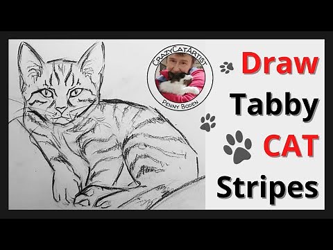 How to Draw Tabby Cat Stripes the easy way, cross contour sketching tutorial for beginning artists