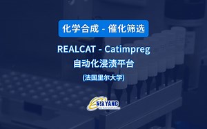 共沉淀或浸渍方法自动平行合成多相催化剂
