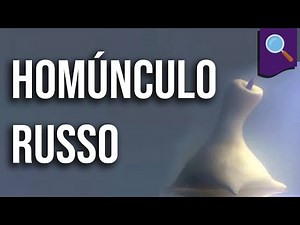 Desmistificando: Homúnculo Russo