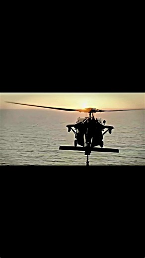 Sikorsky SH-60/MH-60 Seahawk atau Sea Hawk adalah helikopter Angkatan Laut Amerika Serikat dengan mesin turboshaft ganda dan multi-misi yang didasarkan pada UH-60 Black Hawk milik Angkatan darat Amerika Serikat dan merupakan anggota keluarga Sikorsky S-70 Modifikasi yang paling signifikan adalah bilah rotor utama yang dapat dilipat dan ekor berengsel untuk mengurangi jejaknya di atas kapal Angkatan Laut AS memperoleh helikopter H-60 dengan model SH-60B SH60F HH-60H MH-60R dan 60S mampu dikerahka