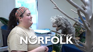 Ever wonder what it’s like to be a zookeeper? 🐾 Step behind the scenes at The Virginia Zoo during #NationalZookeeperWeek for an exclusive inside look! 🤩 Meet the amazing professionals who dedicate their lives to caring for animals of all shapes and sizes. From preparing specialized diets to forming special bonds through training, these zookeepers are truly passionate about their work. 💚 | City of Norfolk Government