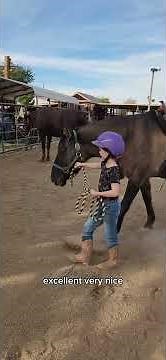 Beginner riding lessons focusing on steering and balance.