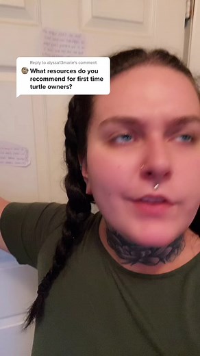 Beginner's Guide to Pet Turtles: Tips, Tricks, and Basic Care Advice