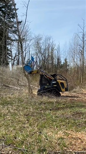 24 reactions · 4 comments | Check out the Forestry Mulcher featured in this video and save over $10,000! With only 100 hours of use, it runs perfectly and is in great condition. Also, don’t miss Promac’s Mulchers, now in stock and on sale for 5% off during our July Summer Sale only on our website. #skidsteersolutions #skidsteer #skidsteerattachments #heavymachinery #skidsteerloader #operator #forestry #mulcher #mulcherhead #mulching | Skid Steer Solutions | Facebook