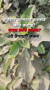 5K reactions · 516 shares | বারবার আপনার ক্ষতি করছে শত্রুরা ? ১০০% গ্যারান্টি দিলাম কাজ হবে  #fbyシvideo #fb #everyoneシ゚ #tips #viralpost2025 #Astro #followersシ゚ #videoviralシ #meta #videos #reels #viral #viralpost2025シ #trees #post @highlight | Sushanta Das | Facebook