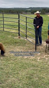 3.5M views · 43K reactions | No cats were harmed in the making of this film. He got lots of scratches and love 鸞 Thanks barn kitty for volunteering  #cowboy #coltstarting | Clinch Colt Co | Facebook