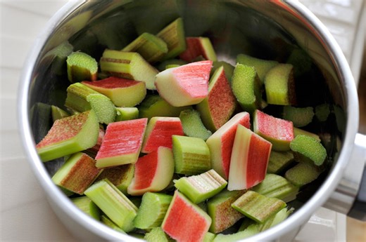 Rhubarbe : tous les bienfaits santé de cette plante vivace