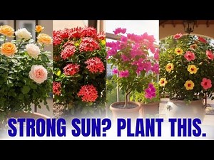 10 Plants That LOVE Direct Sunlight (and Grow Like Crazy!)