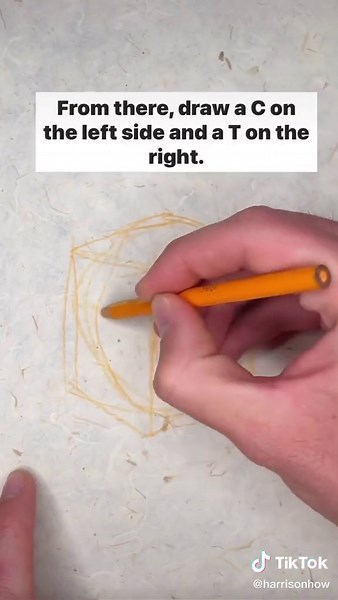 How to Draw a Human Head Tutorial