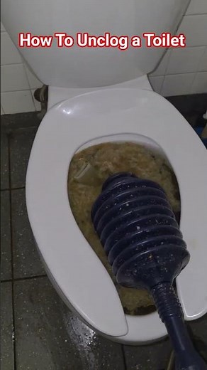 How To Unclog a Toilet