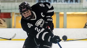 Pinckney gives two-time defending hockey champ tough battle in regional loss