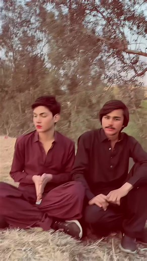 Exploring Mental Health with NeHal and SyCo