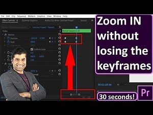 Can't zoom in on Effect Controls panel to adjust keyframes Premiere Pro
