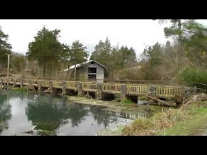 Dogpatch USA Tour, Dec 2015 (Part 1)