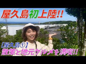 [Yakushima①] A short walk around the island and packing for the Yakushima traverse! Enjoy the fam...