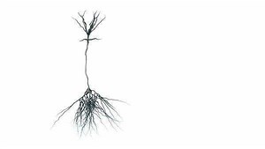 Clip D30_6_308, from Dissolve