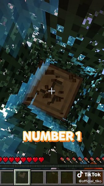 Can You Beat Minecraft In a 1x1 Border?