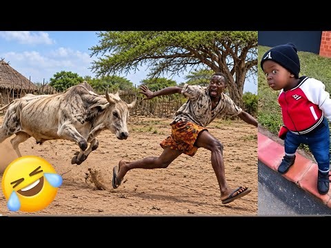 Crazy Funniest Videos 2026 🤣 Try Not To Laugh Challenge😂 Top 100 Funniest Video 🤪 must watch part 25