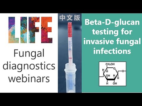 Beta-D-glucan (webinar + Q&A) fungal diagnostics - invasive Aspergillus Pneumocystis Candida