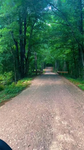 Oh East Texas. You do it every single time. Something about backroads and recharging batteries… | Brandon Rhyder
